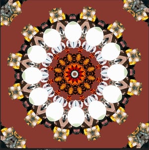 What is this blog about?